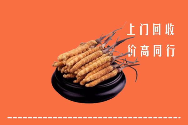 高价求购：集安市回收散虫草
