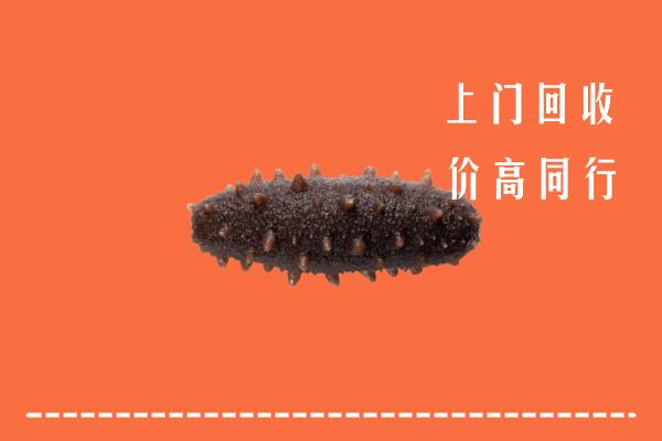 集安市回收海参